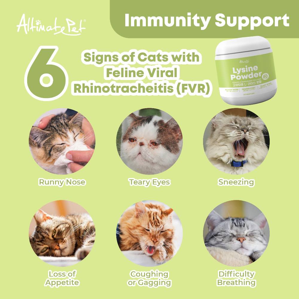 'BUNDLE DEAL': Altimate Pet Lysine Powder Supplement For Cats 150g
