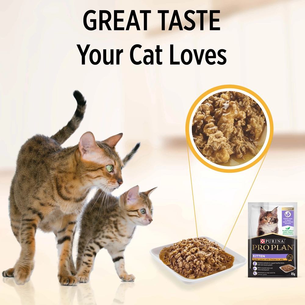Pro Plan Tender Chicken In Jelly Kitten Pouch Cat Food 85g x 12 (Exp 31Jan26)