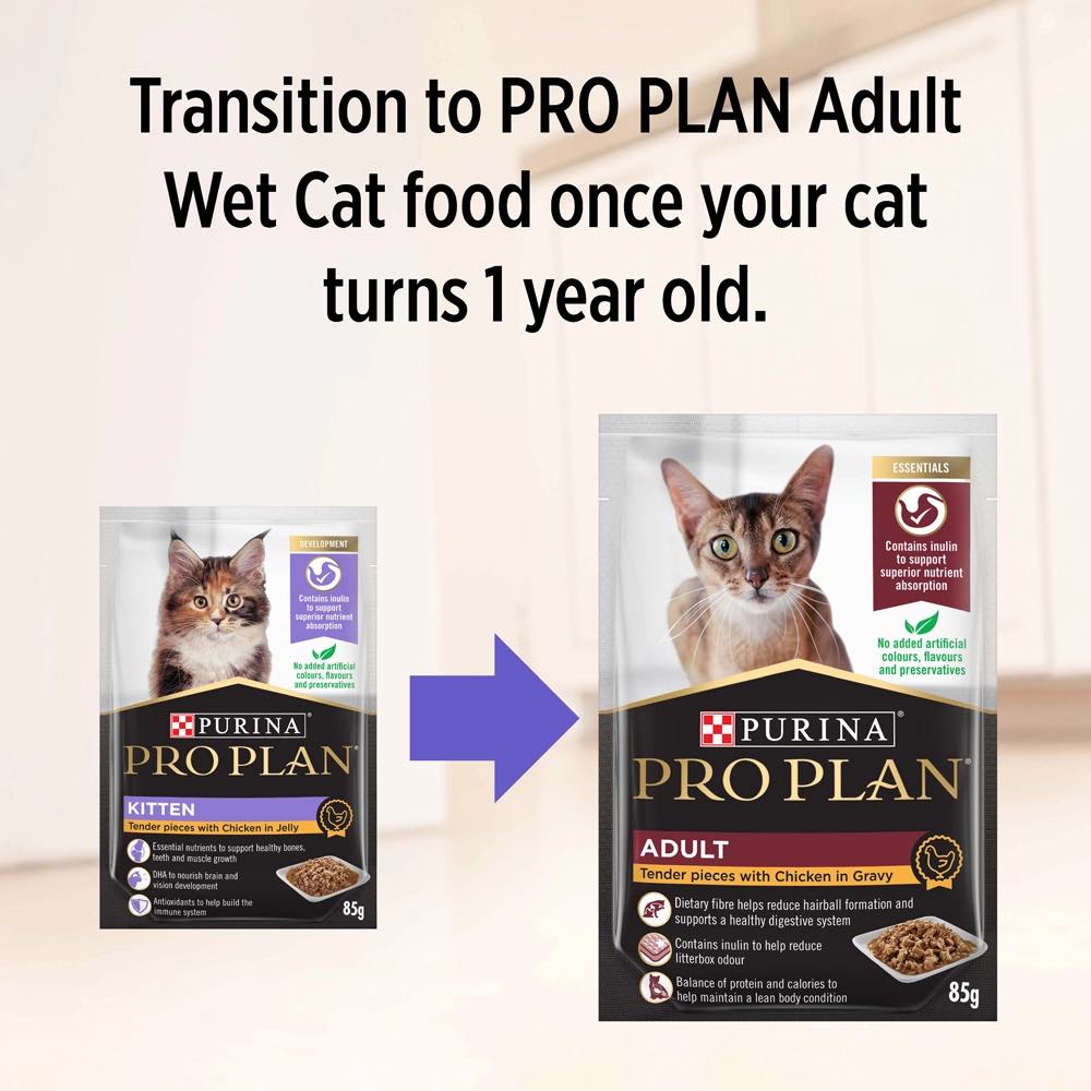 Pro Plan Tender Chicken In Jelly Kitten Pouch Cat Food 85g x 12 (Exp 31Jan26)