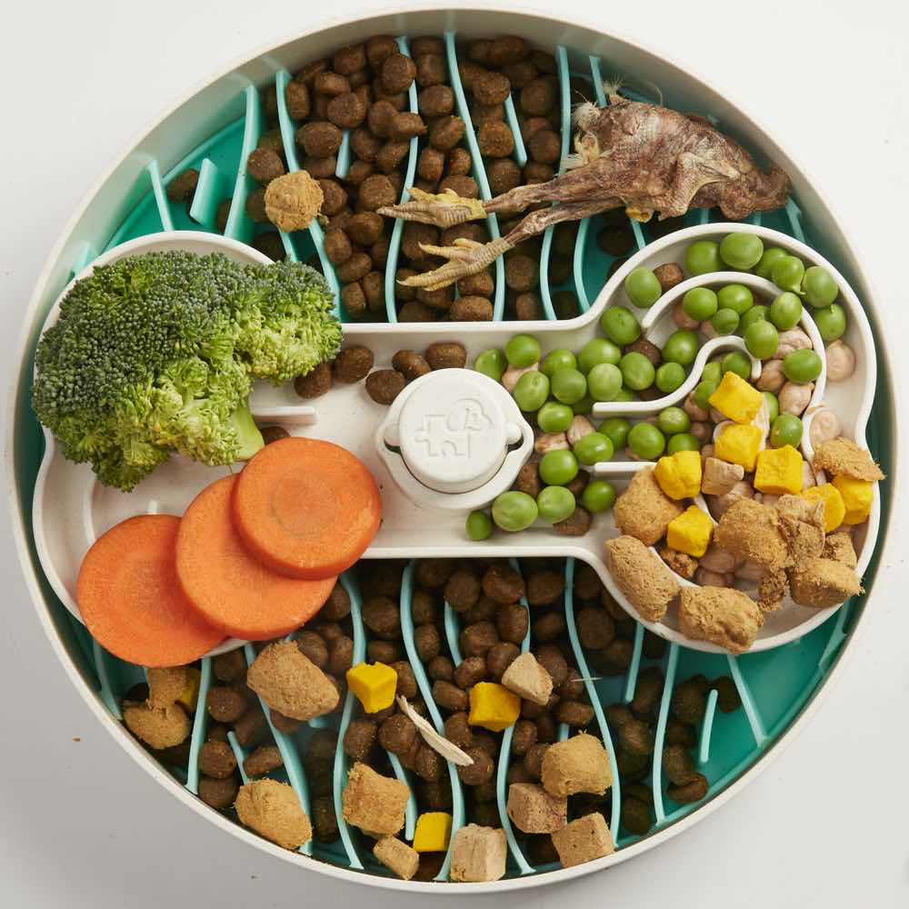 "Puzzle Feeder Interactive Dog Bowl (Broken Wave, Green)"