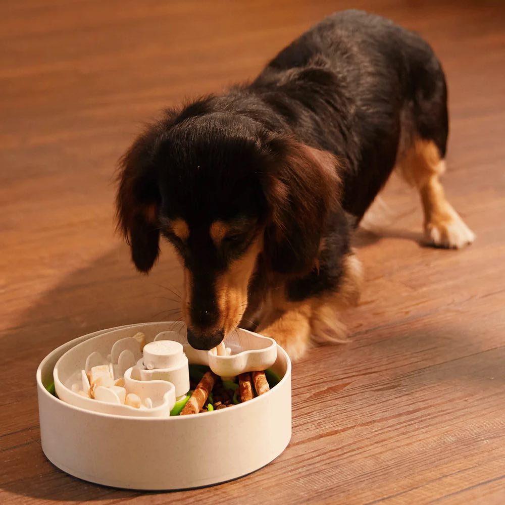 "Puzzle Feeder Interactive Dog Bowl (Broken Wave, Green)"
