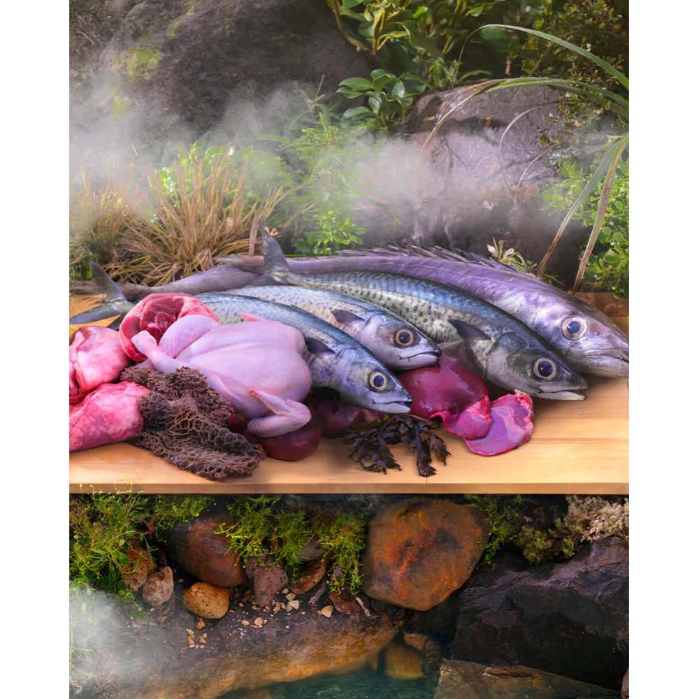 25% OFF: Ziwi Peak Cage Free Chicken With Whole Mackerel Recipe Steam & Dried Cat Food